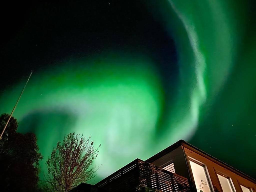 Апартаменты Waterfront Senja Torsken Экстерьер фото