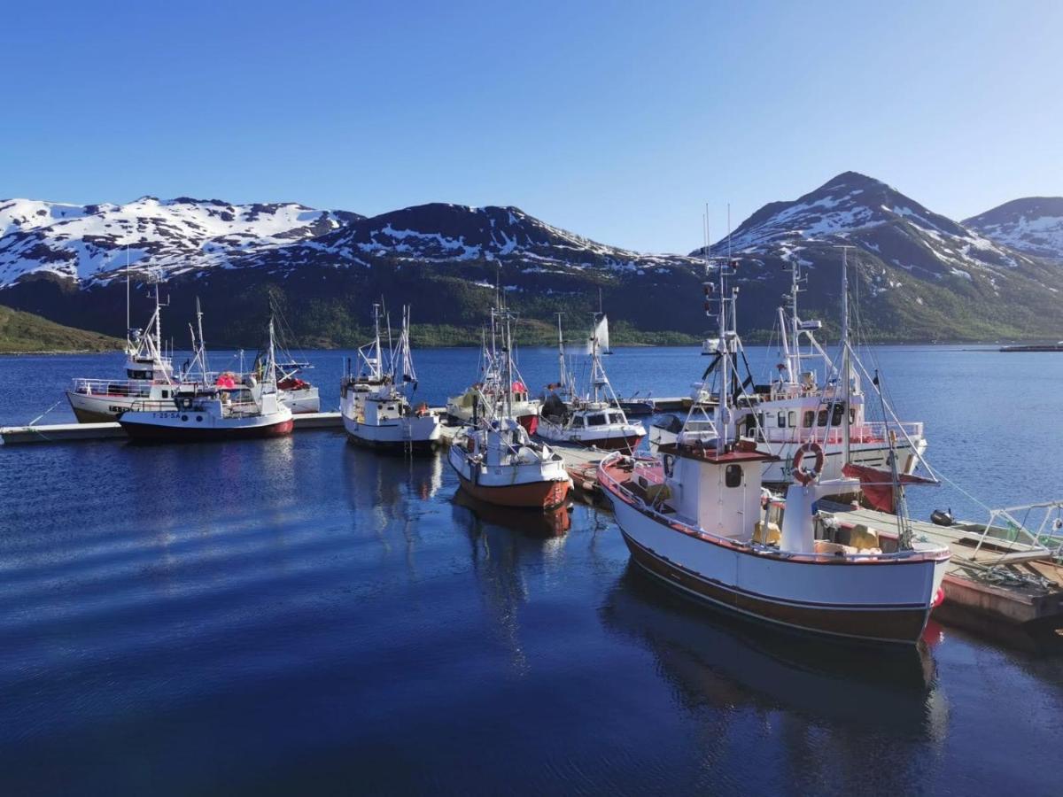 Апартаменты Waterfront Senja Torsken Экстерьер фото