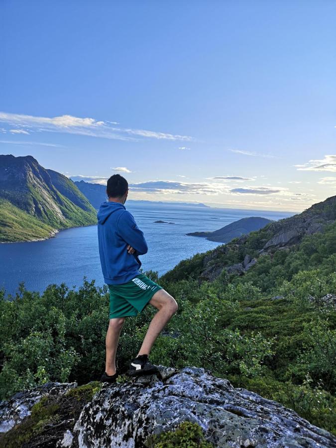 Апартаменты Waterfront Senja Torsken Экстерьер фото
